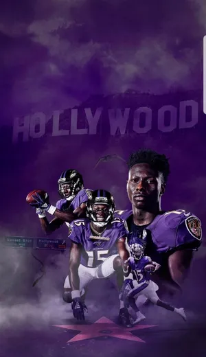 Hollywood Brown Ravens Wallpaper Wallpaper