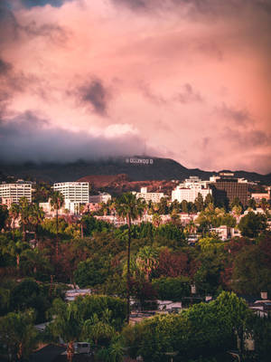 Hollywood In La Wallpaper