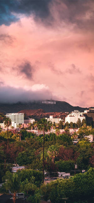 Hollywood Sign Los Angeles Iphone California Wallpaper