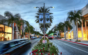 Hollywood Street Road Planters Wallpaper