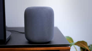 Home Pod Smart Speakeron Table Wallpaper