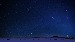 Homer Simpson Appreciating The Beauty Of The Night Sky Wallpaper