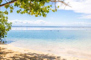 Honduras Blue Beach Wallpaper