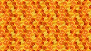Honey Hexagon Pattern Wallpaper
