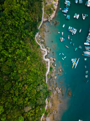 Hong Kong Seaside Road Wallpaper