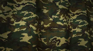 Honorary Salute To The United States Army Wallpaper