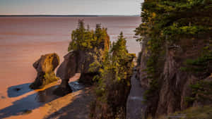 Hopewell Rocks Bayof Fundy Wallpaper