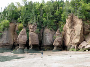 Hopewell Rocks Formation New Brunswick Wallpaper