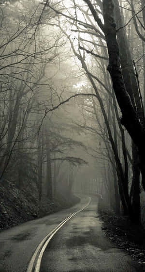 Horror Iphone Road In Forest Wallpaper