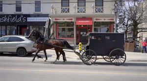 Horse Drawn Buggy Urban Street Wallpaper