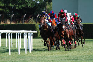 Horse Racing Around The Field Wallpaper