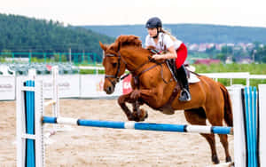 Horse Saddle On A Wooden Fence Wallpaper