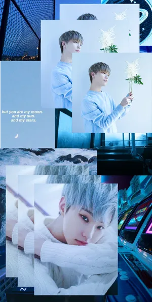 Hoshi And Dino Wallpaper
