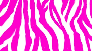 Hot Pink White And Zebra Print Wallpaper