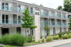 Hoteldela Source Yverdon Les Bains Wallpaper