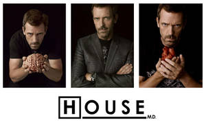 House Md Brain Heart Wallpaper