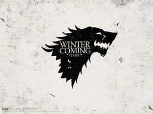 House Stark Official Hbo Wallpaper