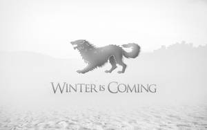 House Stark Wolf Winter Snow Wallpaper