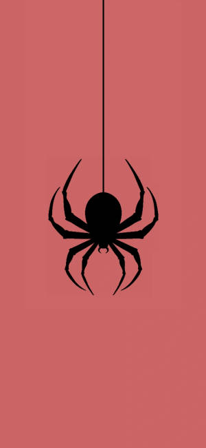 Huawei Honor Spider-man Pink Wallpaper