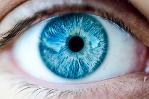 Hues Of Slate Blue Against A Snowy Landscape Wallpaper