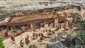 Huge Cliff Palace Mesa Verde National Park Wallpaper