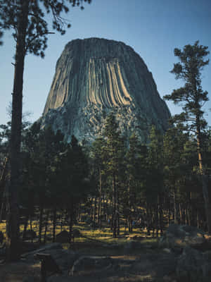 Huge Rock Formation In Forest Wallpaper