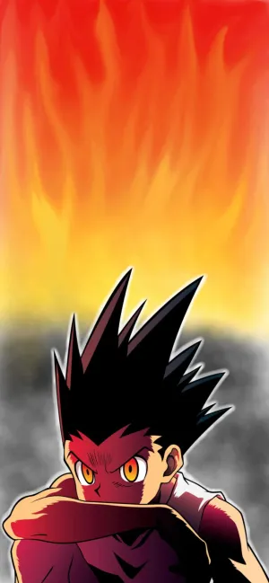 Hunter X Hunter Freecss Phone Wallpaper