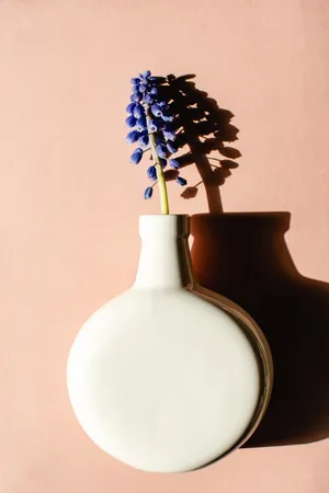 Hyacinth In White Vase Wallpaper