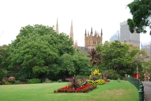 Hyde Park Sydney Greeneryand Architecture Wallpaper