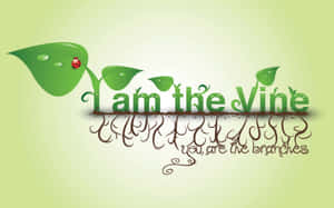 I Am The Vine Christian Graphic Wallpaper