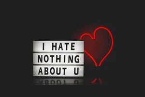 I Hate Nothing About You - Hd Wallpapers Wallpaper