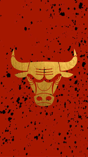 I'm Ready For A Bulls Game! Wallpaper