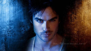 Ian Somerhalder Two-toned Illustration Wallpaper