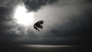 Icarus Flying Too Close Wallpaper