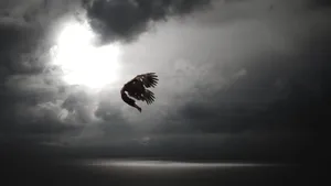 Icarus Flying Too Close Wallpaper