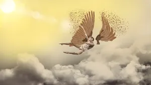 Icarus Flying Too Close To Sun Wallpaper