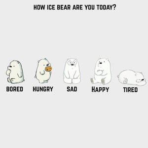 Ice Bear Cartoon Various Emotions Wallpaper