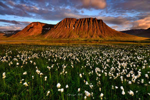 Icelandic Hd Mountain Wallpaper