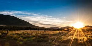 Iconic Contemporary Architecture Wallpaper