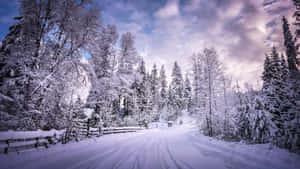 Icy Road In Winter Landscape Wallpaper