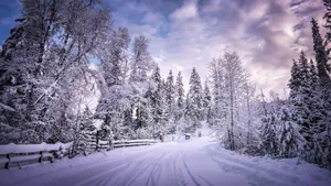Icy Road In Winter Landscape Wallpaper