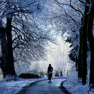 Icy Road In Winter Wonderland Wallpaper