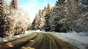 Icy Road Surrounded By Snow-covered Trees Wallpaper