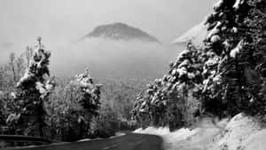 Icy Road Through A Snowy Landscape Wallpaper