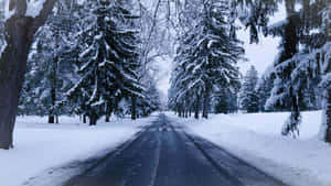 Icy Winter Road Surrounded By Snow-covered Trees Wallpaper