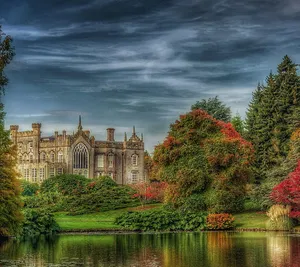 Idyllic Autumn Trees Wallpaper