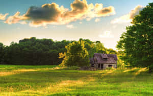 Idyllic Countryside Cottage Wallpaper