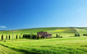 Idyllic Countryside Farmhouseand Vineyard Wallpaper