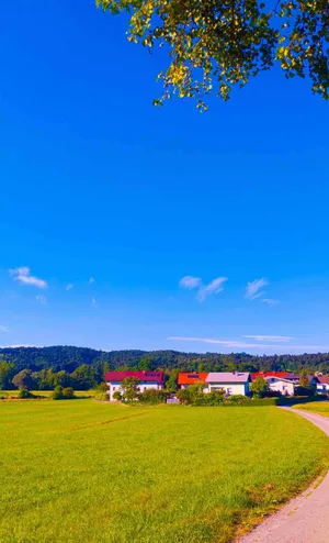 Idyllic Countryside Path Sunny Day Wallpaper