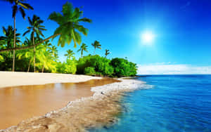 Idyllic Tropical Beach Getaway Wallpaper